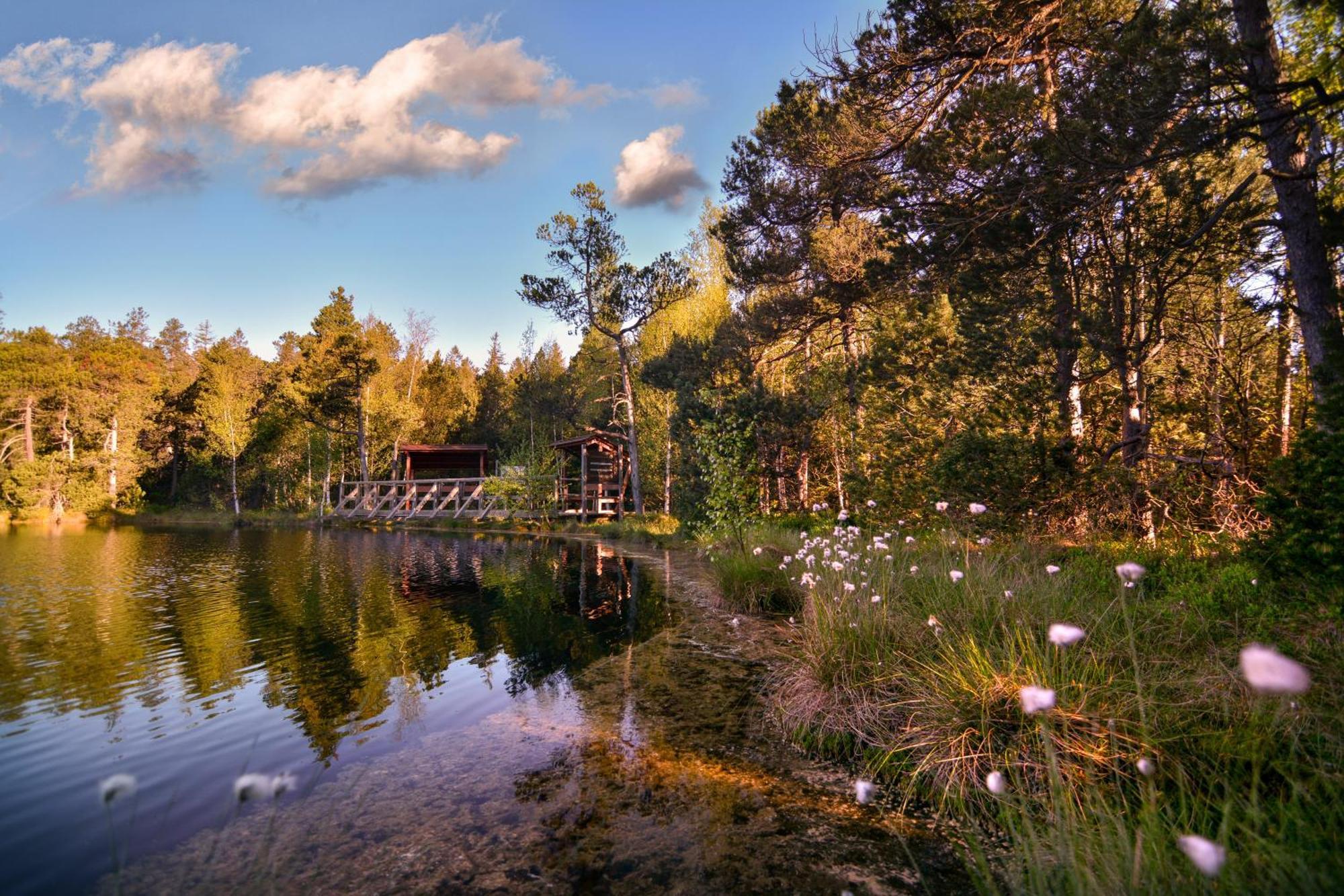 Hotel Krizovy Vrch Jeseník Екстериор снимка